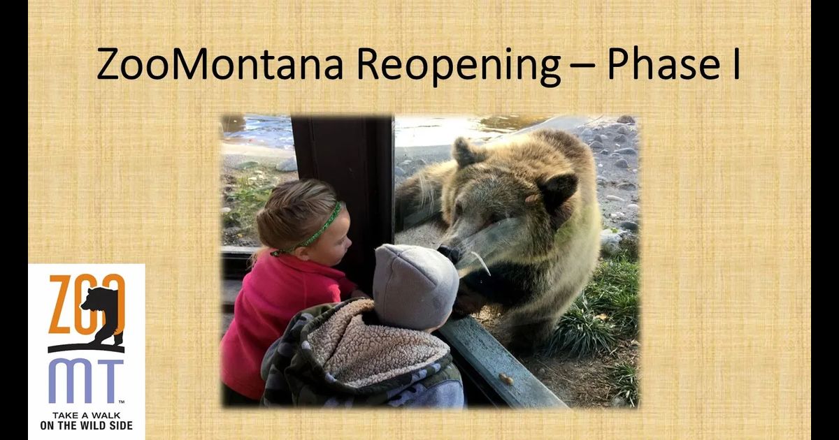 ZooMontana Reopen Phase I