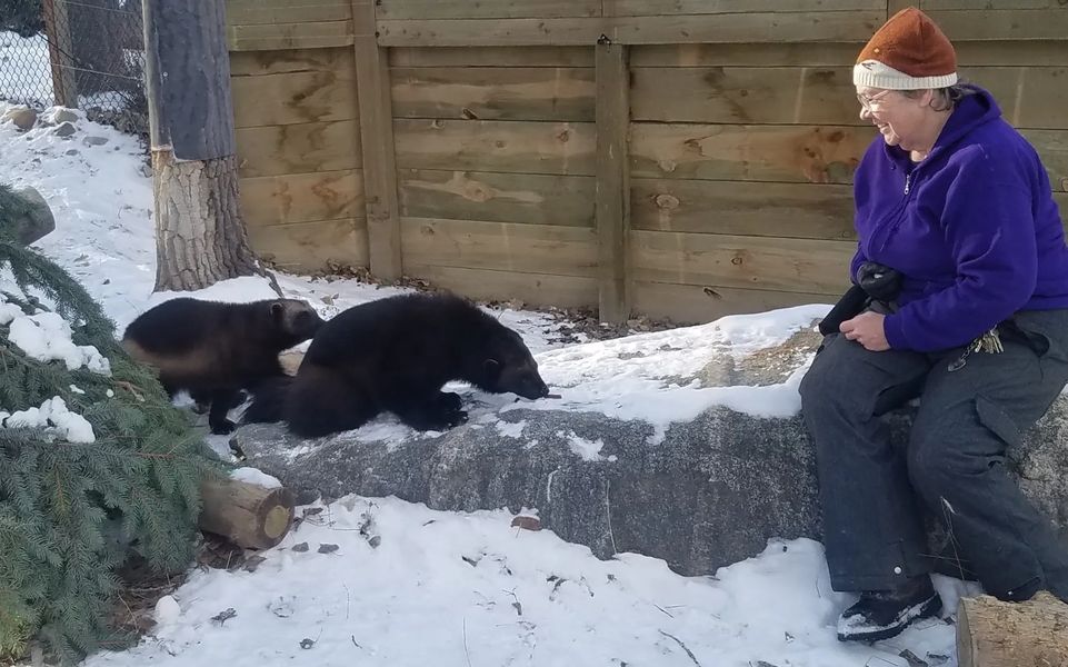 Employment and Internships