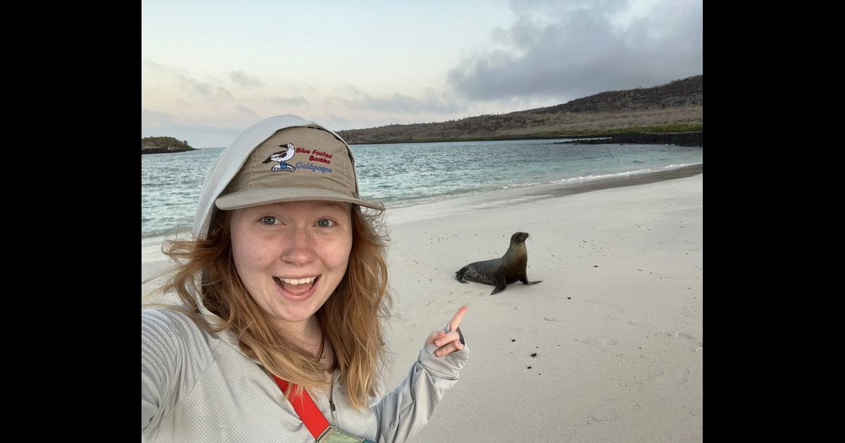 ARTIST DANI FORD visual data 3