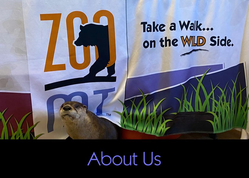 ZooMontana Billings, Montana