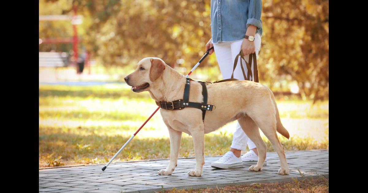 Service Animal Policy service-animal-policy